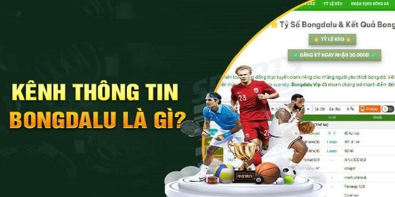 Giới thiệu về trang Bóng Đá Lu