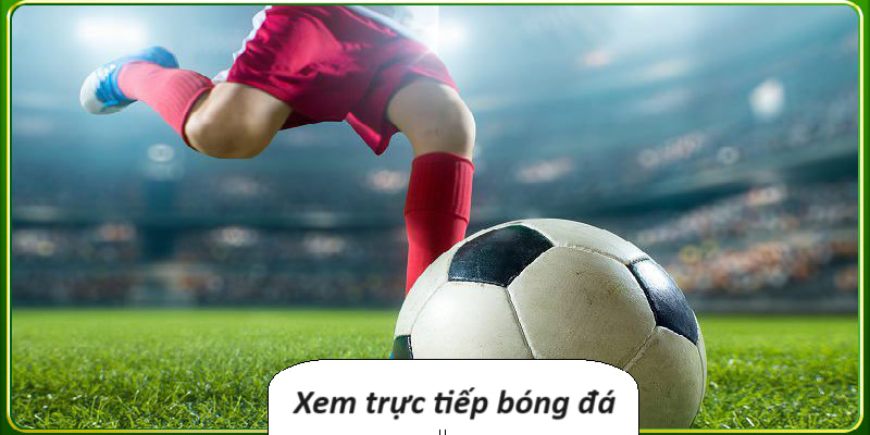 Xem trực tiếp bóng đá