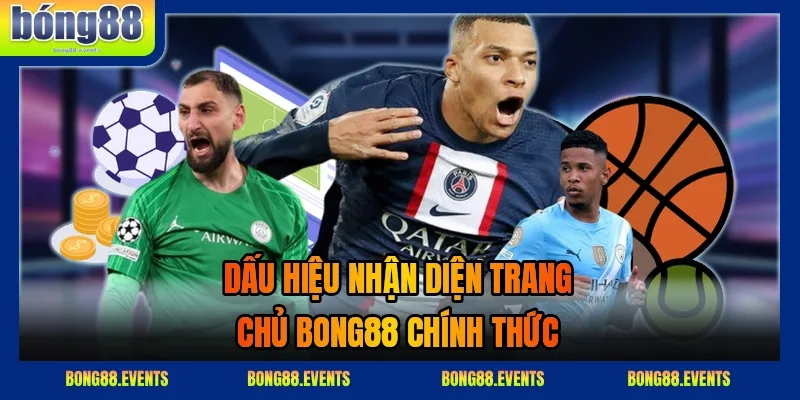 Bảng kiểm tra pháp nhân, giấy phép và điều khoản dịch vụ trước khi tham gia
