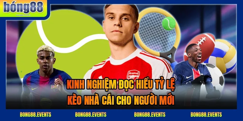 Biểu đồ biến động kèo theo đội hình, dòng tiền và điều kiện thi đấu