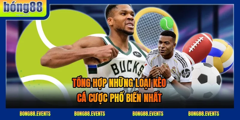 Người chơi kiểm soát vốn và truy cập đúng đường dẫn khi đặt cược