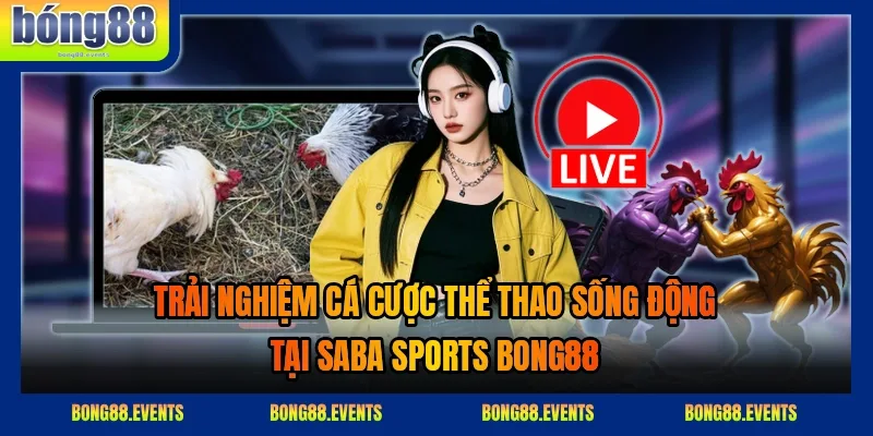 Người chơi phân tích bảng kèo và lịch thi đấu trước khi đặt cược