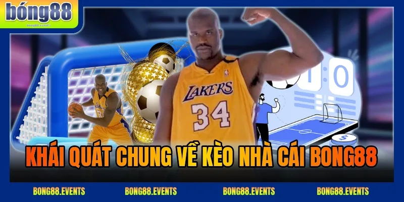 Phân tích đội hình và phong độ để soi kèo bóng đá trước giờ bóng lăn