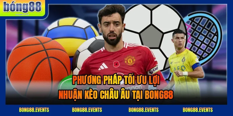 Theo dõi biến động tỷ lệ thưởng trên màn hình điện tử trước trận đấu